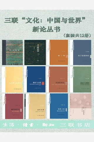三联“文化：中国与世界”新论丛书 封面