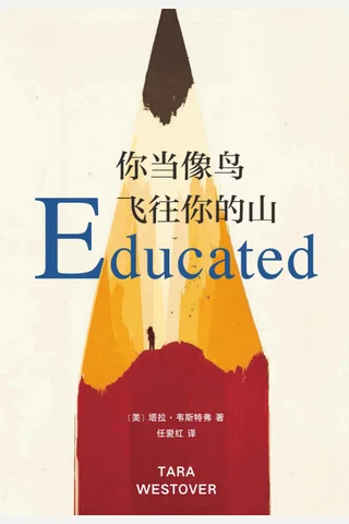 你当像鸟飞往你的山 封面