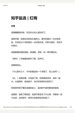 知乎盐选 红梅 封面
