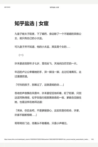 知乎盐选 女宦 封面