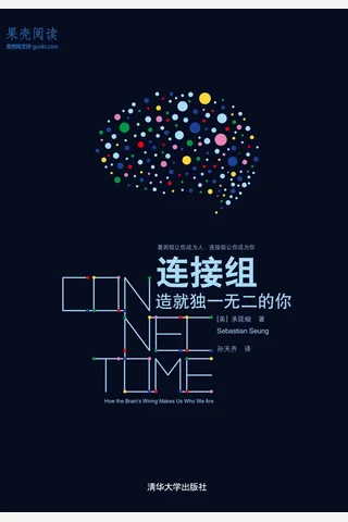 连接组：造就独一无二的你 封面