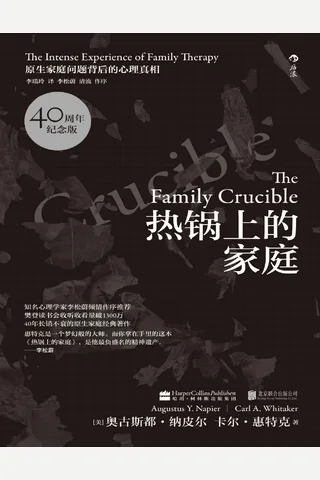 热锅上的家庭： 家庭问题背后的心理真相 封面