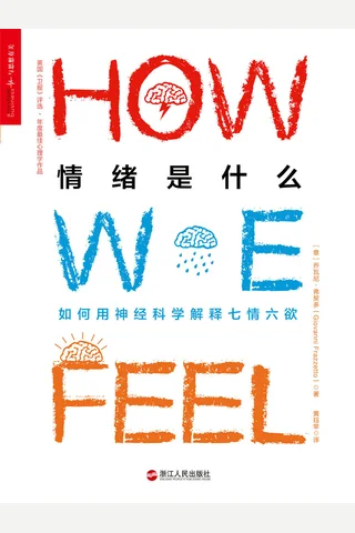 情绪是什么 (【意】乔瓦尼•弗契多黄珏苹译) ( 封面