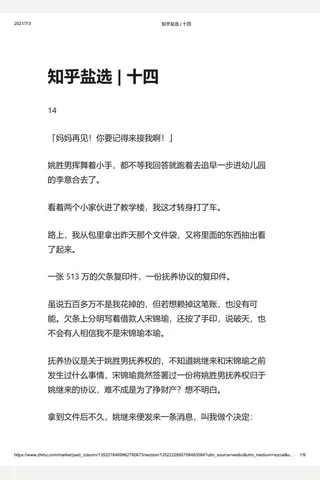 知乎盐选 十四 封面