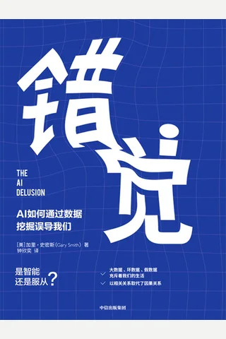 《错觉：AI 如何通过数据挖掘误导我们》 封面