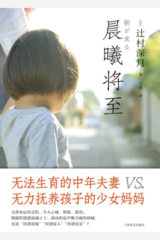 晨曦将至 封面